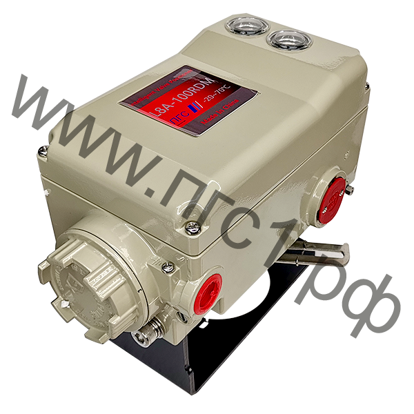 Электропневматический позиционер L8A-100RDM (YT1000RDN531S10,           YT1000RSN531S10) — фото 2